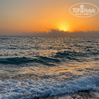 фото из отзыва ID 2314618