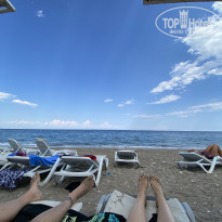 фото из отзыва ID 2314618