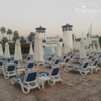 фото из отзыва ID 2314614