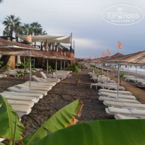 фото из отзыва ID 2314614