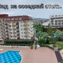 фото из отзыва ID 2314546