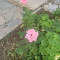 фото из отзыва ID 2314897