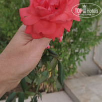 фото из отзыва ID 2314897