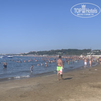 фото из отзыва ID 2314911