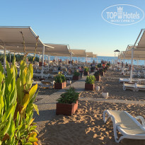 фото из отзыва ID 2314911