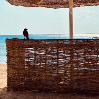 фото из отзыва ID 2314927