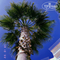 фото из отзыва ID 2315190