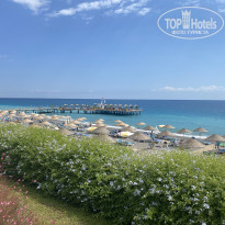 фото из отзыва ID 2315191