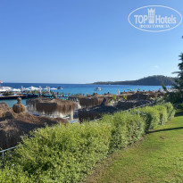 фото из отзыва ID 2315191