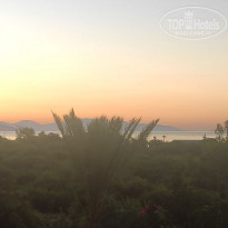 фото из отзыва ID 2315400