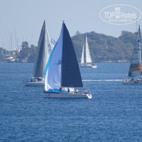 фото из отзыва ID 2315545