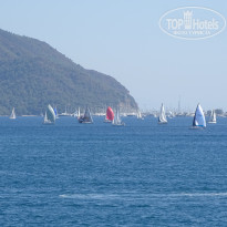 фото из отзыва ID 2315545