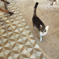 фото из отзыва ID 2315545