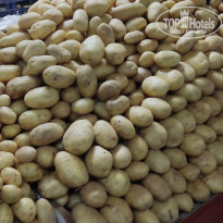 фото из отзыва ID 2315545