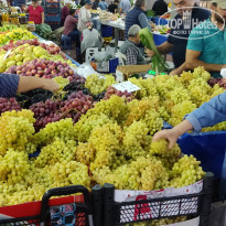 фото из отзыва ID 2315545