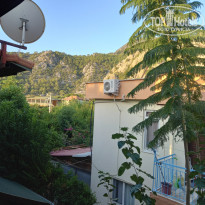 фото из отзыва ID 2315641