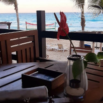 фото из отзыва ID 2315765