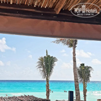 фото из отзыва ID 2315765