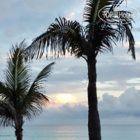 фото из отзыва ID 2315765