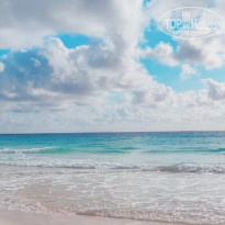 фото из отзыва ID 2315765