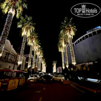 фото из отзыва ID 2315876