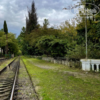 фото из отзыва ID 2315876