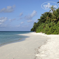 фото из отзыва ID 2315926