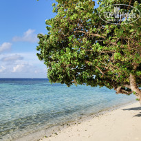 фото из отзыва ID 2315926