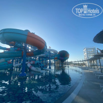 фото из отзыва ID 2316107