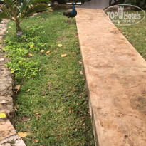 фото из отзыва ID 2316280