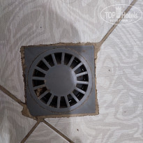 фото из отзыва ID 2316444