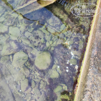 фото из отзыва ID 2316444