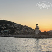 фото из отзыва ID 2316561