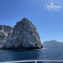 фото из отзыва ID 2316561