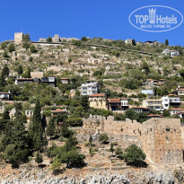 фото из отзыва ID 2316561