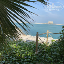 фото из отзыва ID 2316621