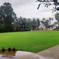 фото из отзыва ID 2316699