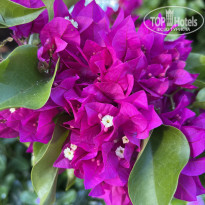 фото из отзыва ID 2316713