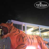 фото из отзыва ID 2316804