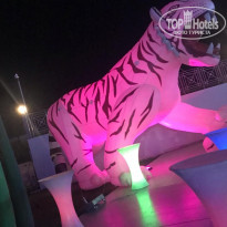 фото из отзыва ID 2316804