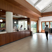 фото из отзыва ID 2316809