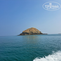 фото из отзыва ID 2316851