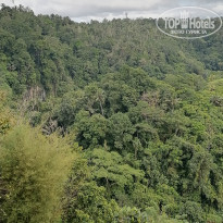 фото из отзыва ID 2316884