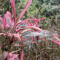 фото из отзыва ID 2316884