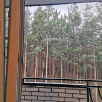 фото из отзыва ID 2316888