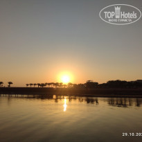 фото из отзыва ID 2316904