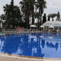 фото из отзыва ID 2316828