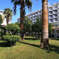 фото из отзыва ID 2316828