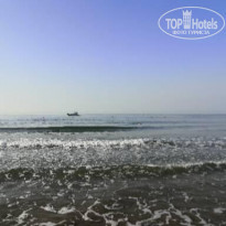 фото из отзыва ID 2316828