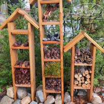 фото из отзыва ID 2316927